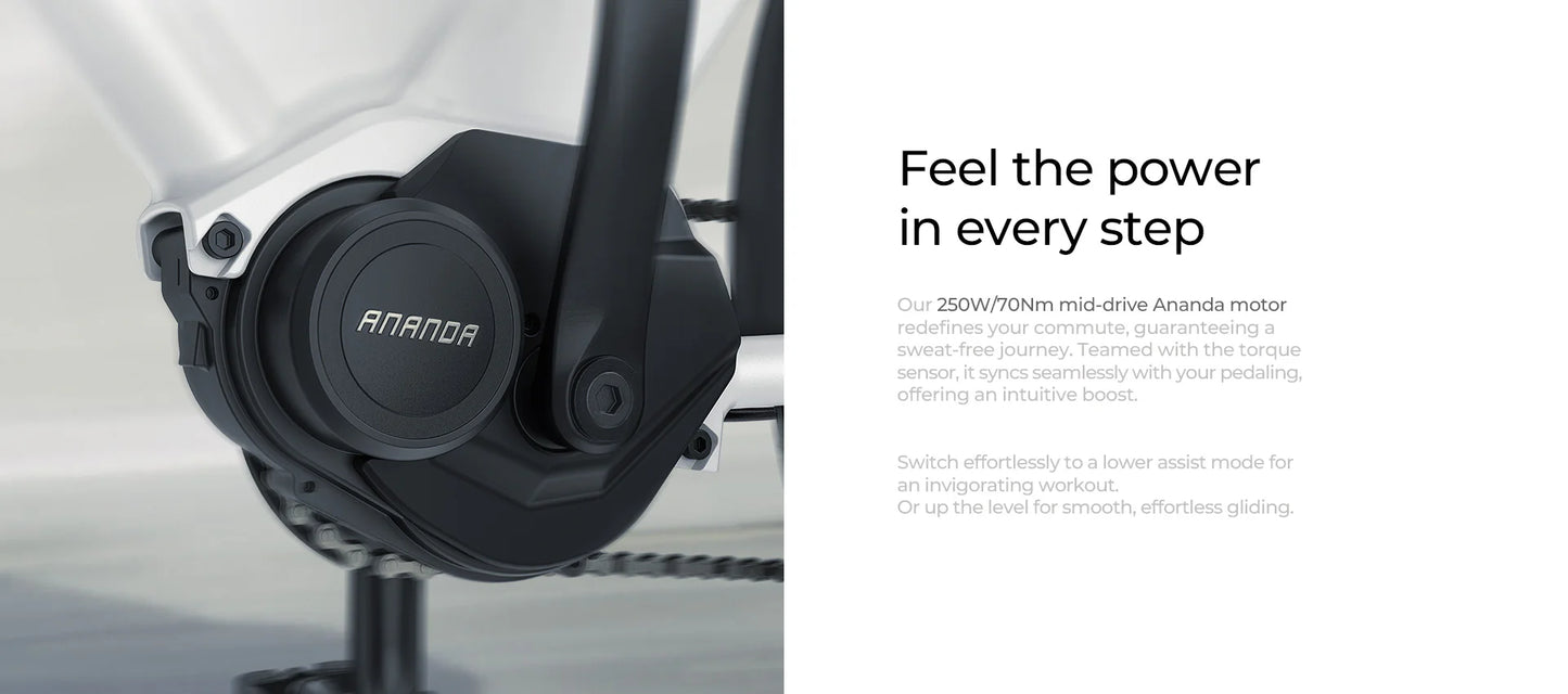 Engwe P275 ST E-bike met 260km Actieradius | Accelerate