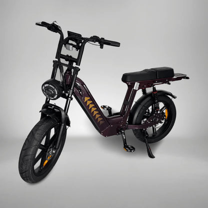 D50 Fatbike | QMwheels | Met lage instap