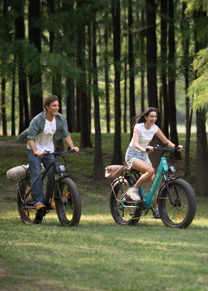 Engwe E26 All-Terrain fatbike | Accelerate