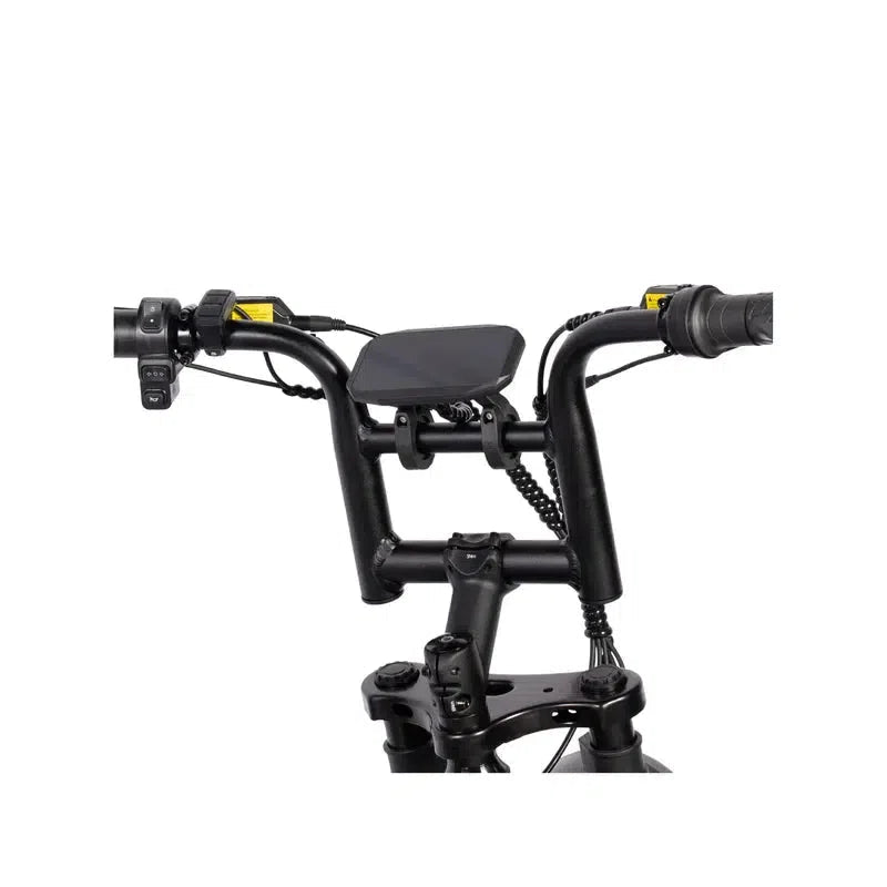 V20 Pro mini Fatbike - Zwart