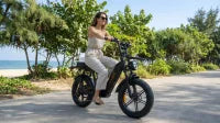 D50 Fatbike | QMwheels | Met lage instap