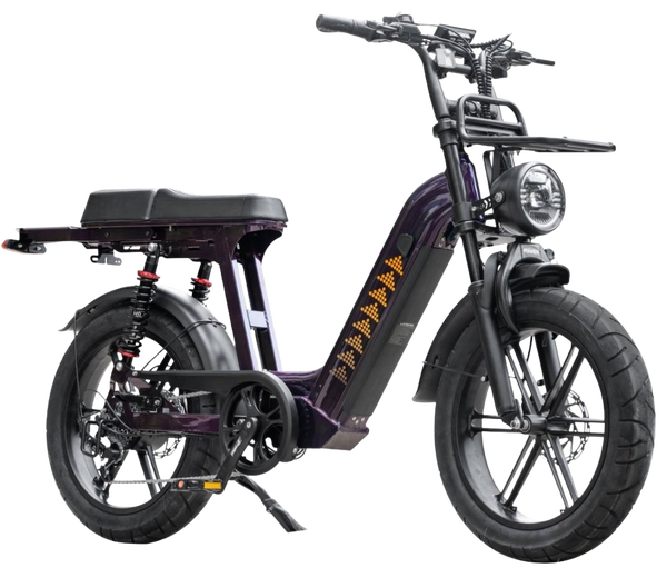 D50 Fatbike | QMwheels | Met lage instap