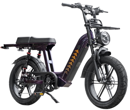 D50 Fatbike | QMwheels | Met lage instap