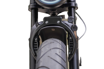 D50 Fatbike | QMwheels | Met lage instap