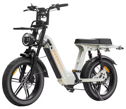 D50 Fatbike | QMwheels | Met lage instap