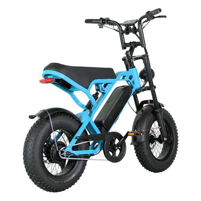 V20 MINI - Fatbike geschikt voor jongeren - Accelerate
