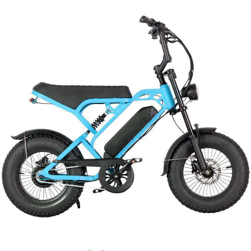 V20 MINI - Fatbike geschikt voor jongeren - Accelerate