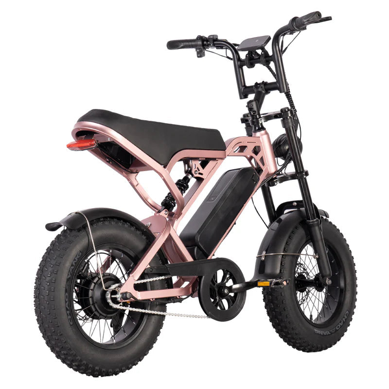 V20 MINI - Fatbike geschikt voor jongeren - Accelerate