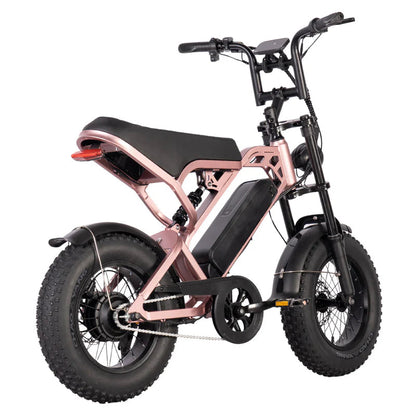 V20 MINI - Fatbike geschikt voor jongeren - Accelerate