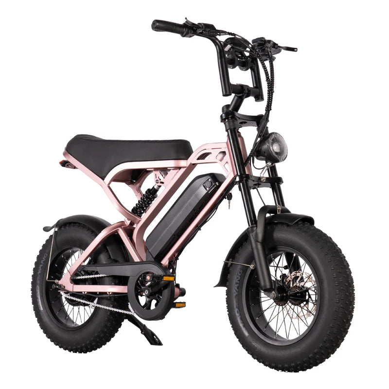 V20 MINI - Fatbike geschikt voor jongeren - Accelerate