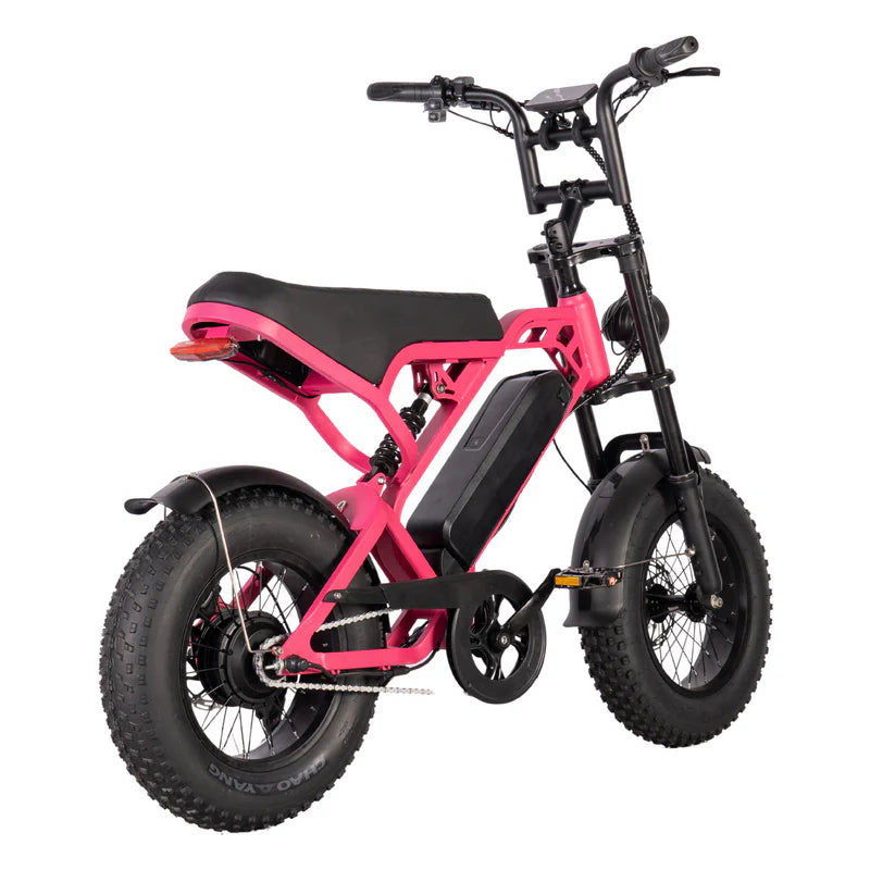 V20 MINI - Fatbike geschikt voor jongeren - Accelerate