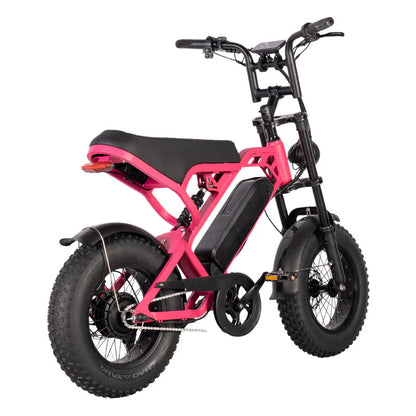 V20 MINI - Fatbike geschikt voor jongeren - Accelerate
