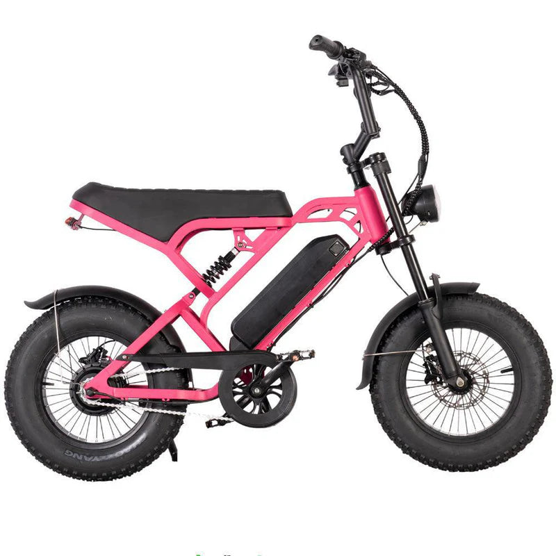 V20 MINI - Fatbike geschikt voor jongeren - Accelerate