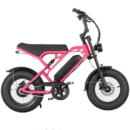 V20 MINI - Fatbike geschikt voor jongeren - Accelerate